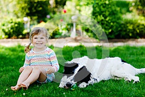 Cute little toddler girl playing with family dog in garden. Happy smiling child having fun with dog, hugging playing