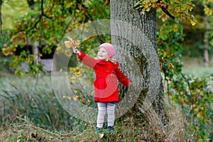 Cute little toddler girl in red coat making a walk through autumn forest. Happy healthy baby enjoying walking with