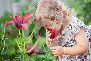 Adorable toddler girl smelling flowers