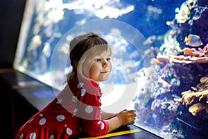 Cute little toddler girl visiting zoo aquarium. Happy baby child watching fishes and jellyfishes, corals. Fascinated
