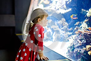 Cute little toddler girl visiting zoo aquarium. Happy baby child watching fishes and jellyfishes, corals. Fascinated