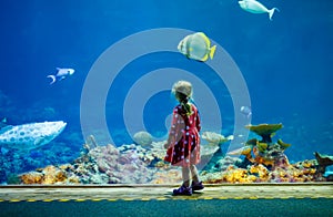 Cute little toddler girl visiting zoo aquarium. Happy baby child watching fishes and jellyfishes, corals. Fascinated