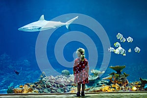 Cute little toddler girl visiting zoo aquarium. Happy baby child watching fishes and jellyfishes, corals. Fascinated