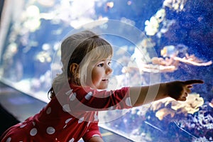 cute little toddler girl visiting zoo aquarium. Happy baby child watching fishes and jellyfishes, corals. Fascinated