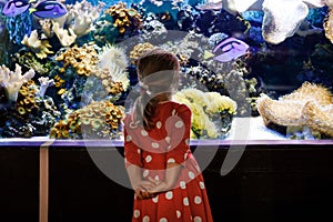 cute little toddler girl visiting zoo aquarium. Happy baby child watching fishes and jellyfishes, corals. Fascinated