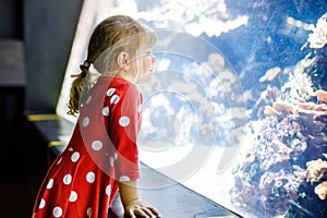 cute little toddler girl visiting zoo aquarium. Happy baby child watching fishes and jellyfishes, corals. Fascinated