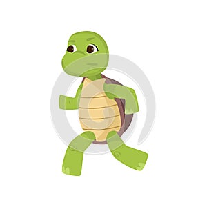 Cute little turtle running on two hind legs isolated on white background