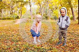 Cute little twins boy and girl playing together in autumn park