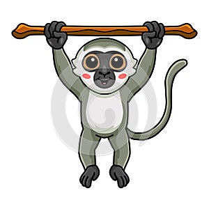 Cute little vervet monkey cartoon hanging on tree