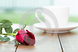 Cute little white cup of coffee with red rose flower on wooden table and home garden background. Romantic table setting,