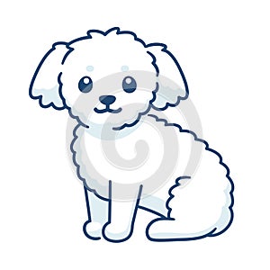 Cute little white fluffy dog photo