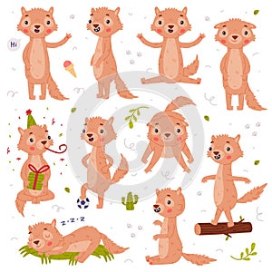 Cute Little Xerus Character with Pretty Snout Engaged in Different Activity Vector Set