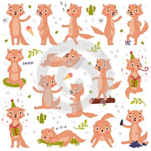 Cute Little Xerus Character with Pretty Snout Engaged in Different Activity Vector Set