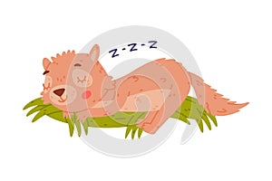 Cute Little Xerus Character with Pretty Snout Sleeping on Green Grass Vector Illustration