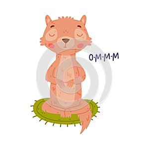 Cute Little Xerus Character in Yoga Pose Meditating Sitting on Mat Vector Illustration