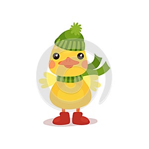 Cute little yellow duck chick character in green knitted hat and scarf cartoon vector Illustration