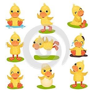 Cute little yellow duckling character set, chick duck in different poses and situations vector Illustrations on a white