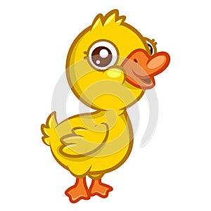 Cute little yellow duckling with a smile