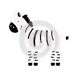 Cute little zebra isolated. Cartoon animal character for kids cards, baby shower, invitation, poster, t-shirt, house decor. Vector