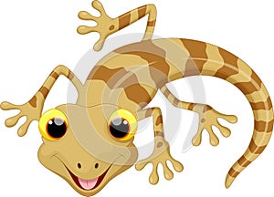 Cute lizard cartoon