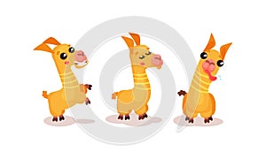 Cute Llama or Alpaca Animal Sticking out Tongue Vector Set