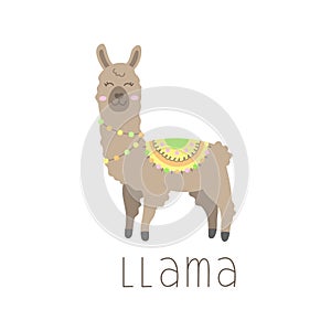 Cute llama alpaca vector illustration