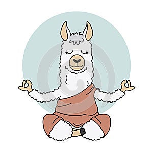 Cute llama doing yoga