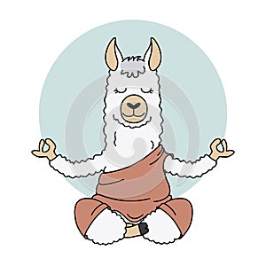 Cute llama doing yoga photo