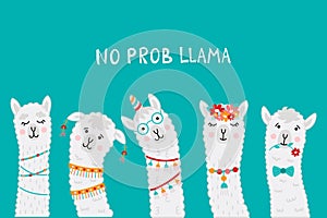 Cute llama faces with No PROB LLAMA motivational quote