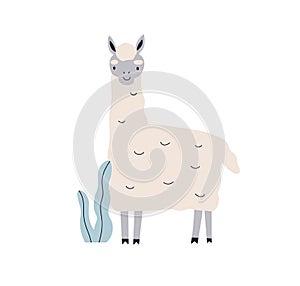 Cute llama. Happy kawaii animal in kids Scandinavian style. Exotic lama character, adorable funny fluffy mammal. Scandi