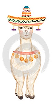 Cute Llama illustration, peru watercolor animale. Alpaca Clipart for decorating designs