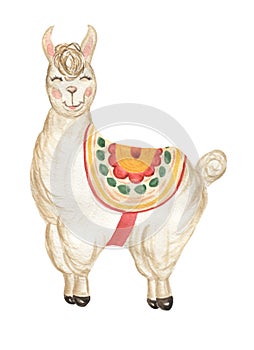 Cute Llama illustration, peru watercolor animale. Alpaca Clipart for decorating designs