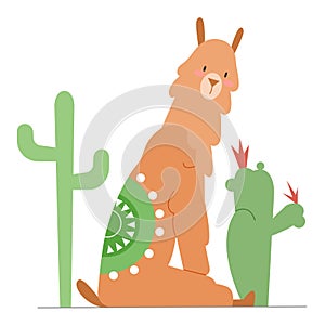 Cute llama sitting between cactuses