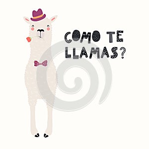 Cute llama Valentines day card