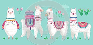 Cute Llamas. Funny hand drawn alpaca characters