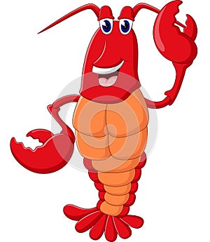 Cute lobster