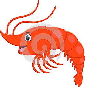 Cute lobster cartoon, isolated on white background