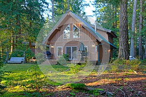 Cute log cabin in the forest photo