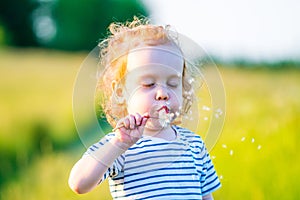 Cute long hair boy toddler in a meadow blowing dandelion