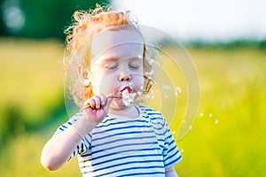 Cute long hair boy toddler in a meadow blowing dandelion