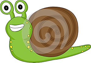 A Cute Looking Snail