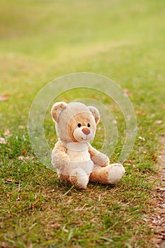 Cute lost abandoned soft plush stuffed teddy bear sitting on ground. Child soft toy on green grass in park outdoors. Lost lonely