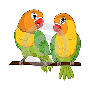 Cute lovebirds couple standing on a tree branch