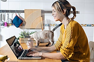 Cute lovely cat playing on the table while her smiling owner working with laptop in the kitchen at home