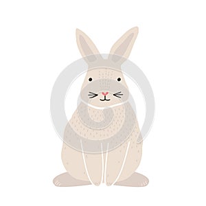 Cute lovely pretty white bunny, rabbit or hare isolated on white background. Funny adorable pet or wild forest animal