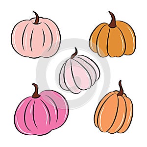 Cute and Lovely Pumpkin Vector Illustration with hand drawn style