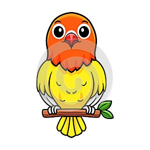 Cute lutino lovebird cartoon on tree branch