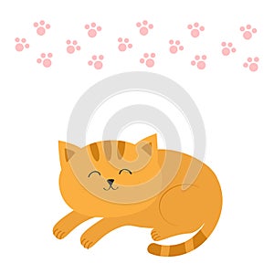 Cute lying sleeping orange cat with moustache whisker. Funny cartoon character. Pink animal paw print. White background