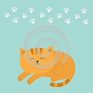 Cute lying sleeping orange cat with moustache whisker. Funny cartoon character. White animal paw print. Blue background. .