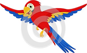 Cute macaw bird cartoon flying